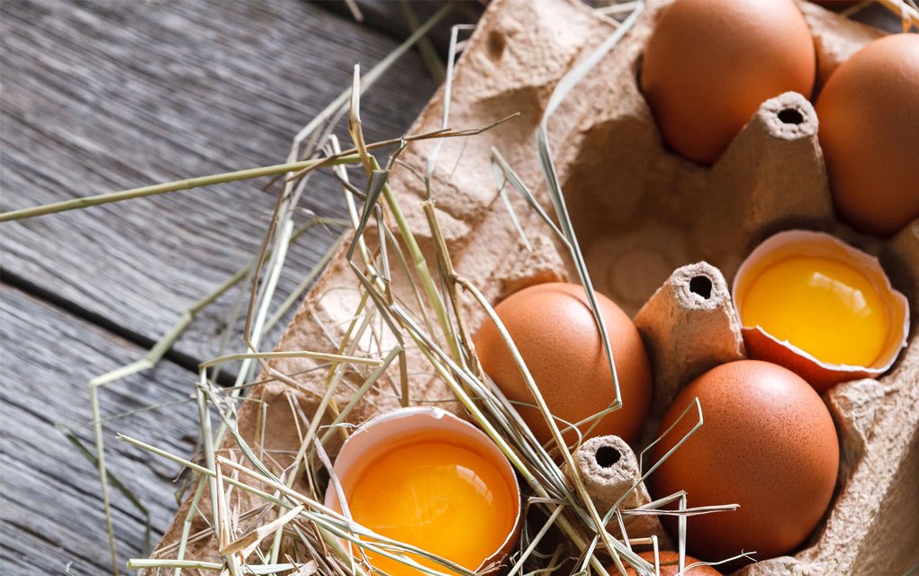 Free-range vs Organic: Which Eggs Should You be Buying?