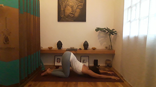 ANAHATASANA gowell article picture