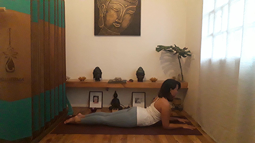 SPHINX gowell article picture